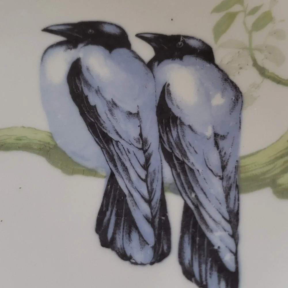 MZ Moritz Zdekauer Austria Blue Black Birds 8.5